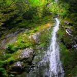Deep in the woods of Vancouver Island: Hidden waterfalls